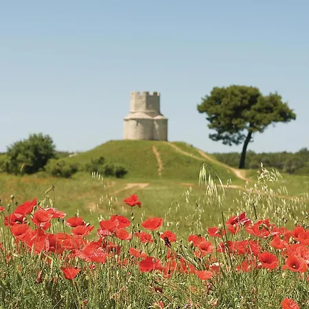 1 Bedroom Cozy In * Nin