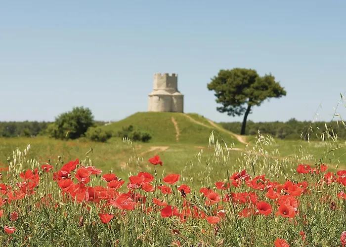 1 Bedroom Cozy In * Nin