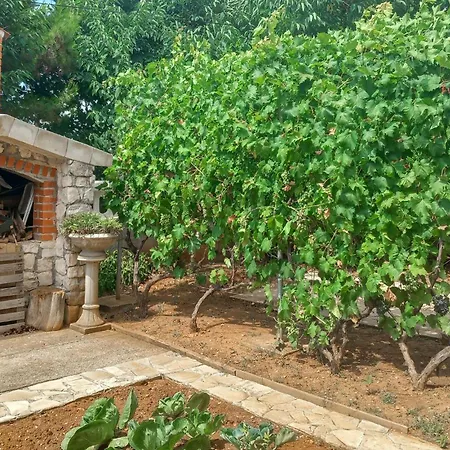 Lejlighed 1 Bedroom Cozy In *