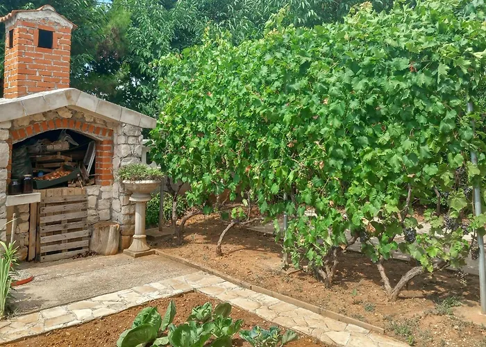 דירה 1 Bedroom Cozy In *